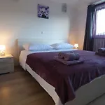 Octopus *